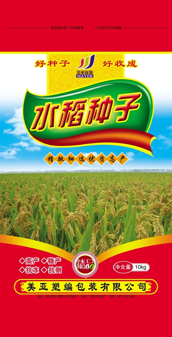 水稻種子圖片