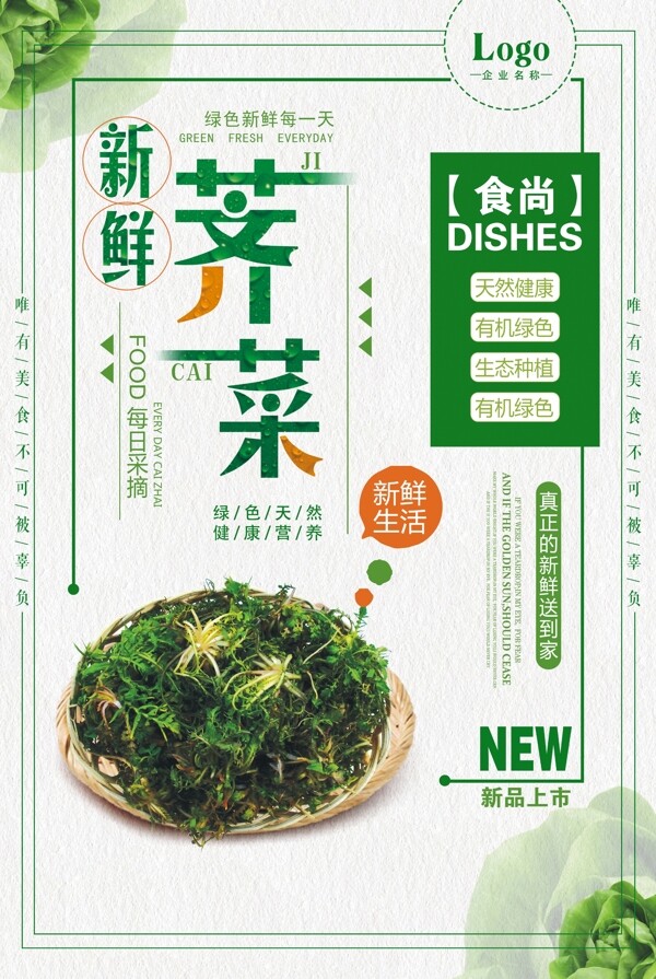 新鲜荠菜营养健康蔬菜海报图片
