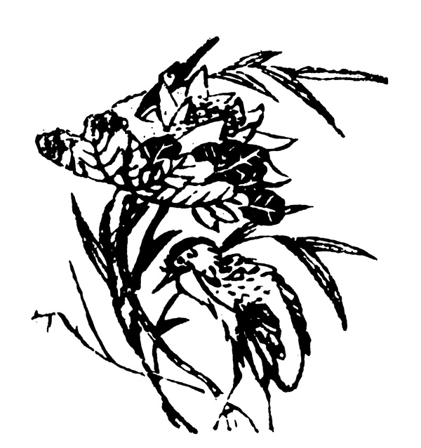 清代花鳥圖案中國(guó)傳統(tǒng)圖案0073