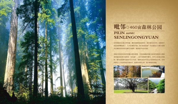 房地產(chǎn)畫(huà)冊(cè)