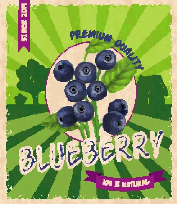 复古风格蓝莓海报矢量素材下载
