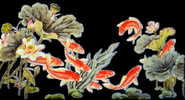 荷魚