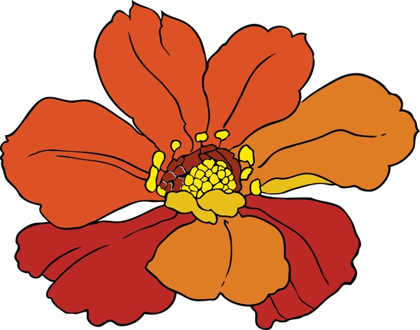 芙蓉花矢量圖