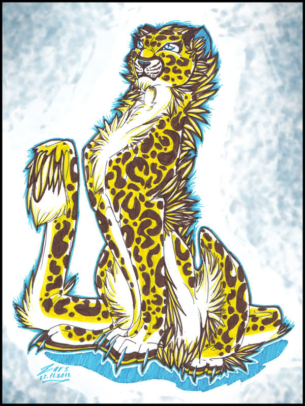 金cheeth