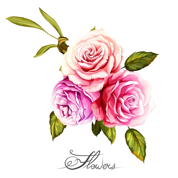 手绘水彩玫瑰花朵矢量素材