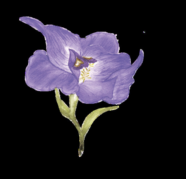 紫海花叶透明装饰素材
