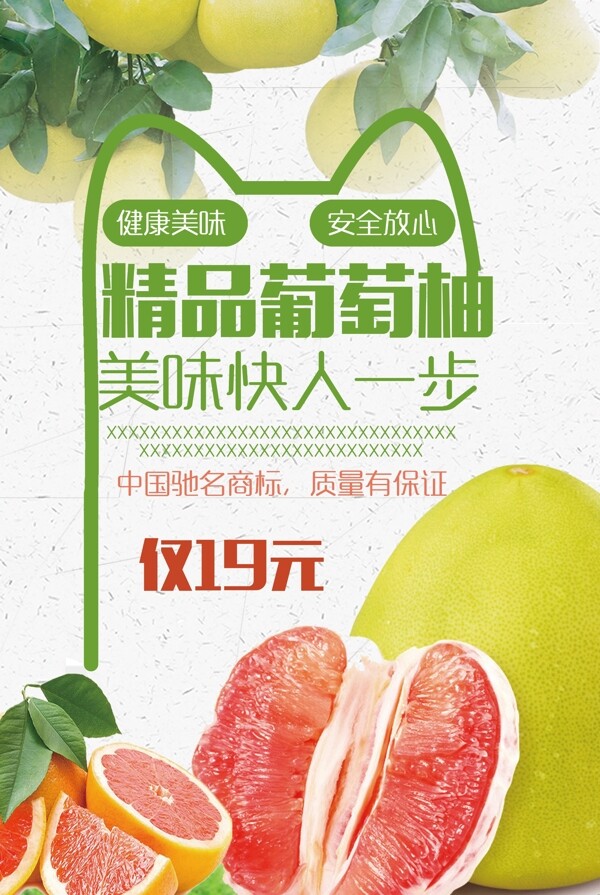 精品葡萄柚柚子海报