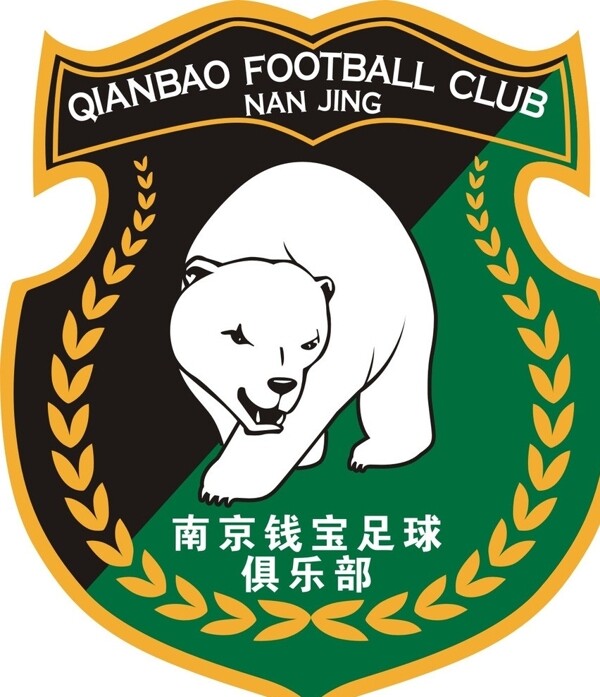 南京錢寶足球俱樂部圖片