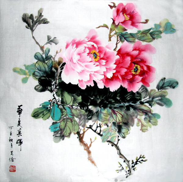 華夏春暉圖片