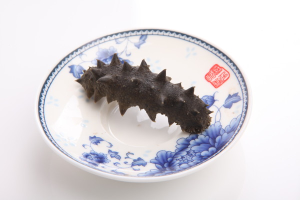 海參圖片