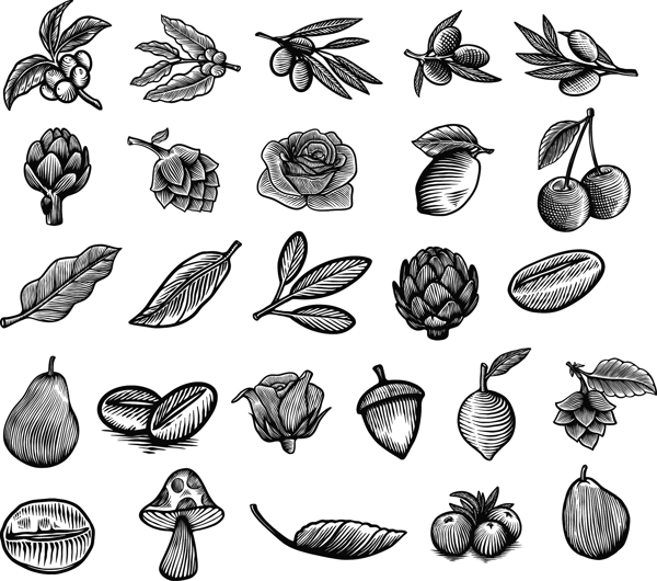 黑白素描蔬菜水果图片