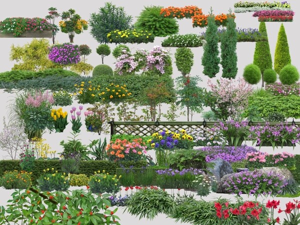 花草素材
