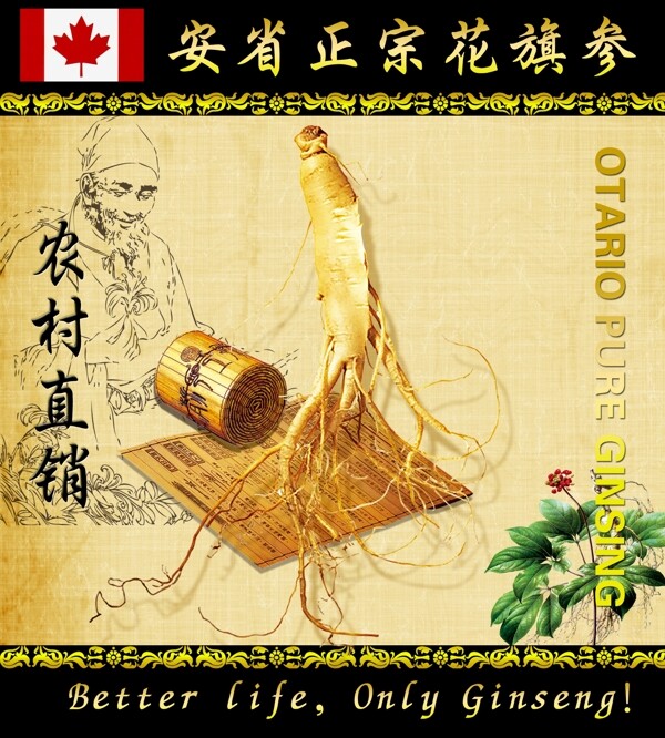 正宗花旗參