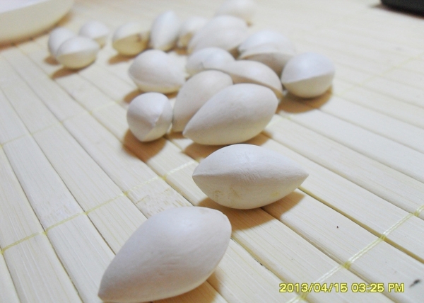 白果圖片