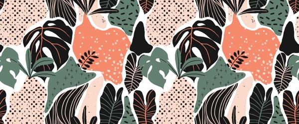 热带植物抽象树叶图片