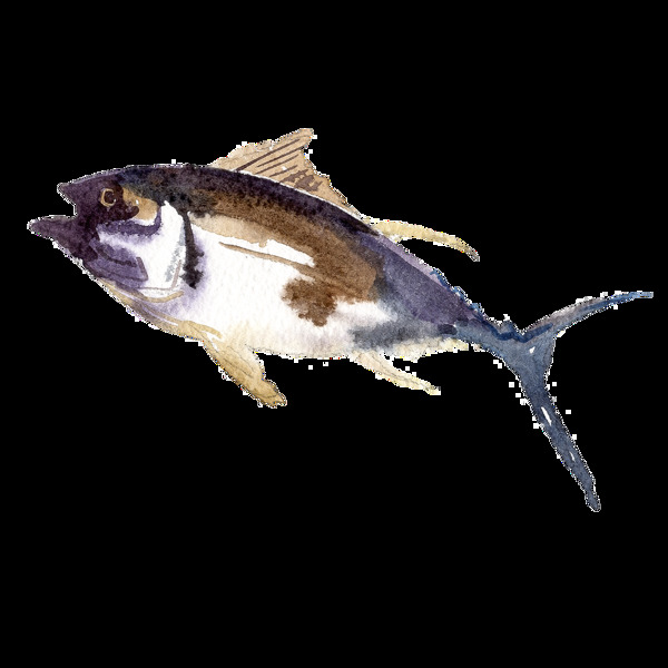黑色水彩手繪魚(yú)透明素材
