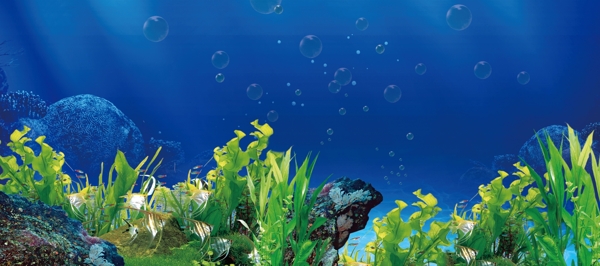 魚缸背景