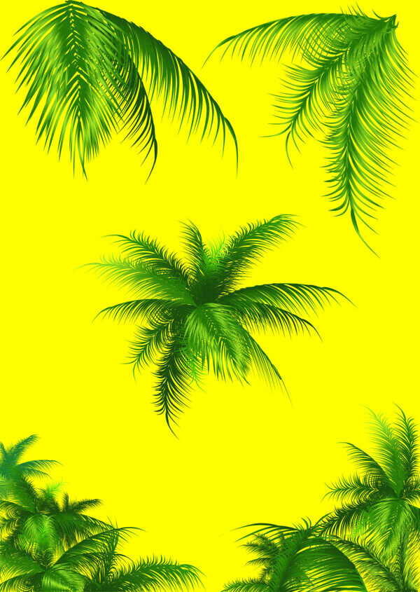 椰子树植物系列矢量图