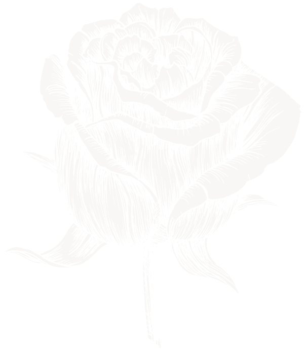 手绘花朵素材单朵玫瑰