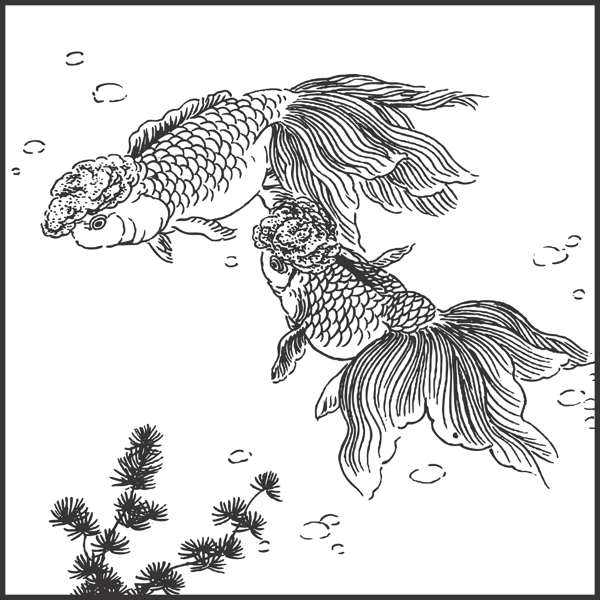 魚