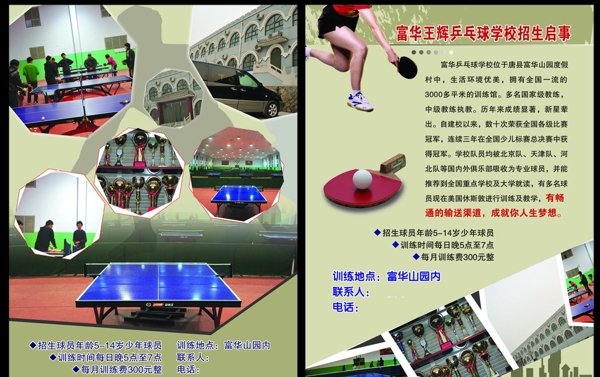乒乓球招生單頁圖片