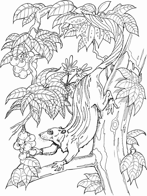 手繪動(dòng)物畫動(dòng)物素描