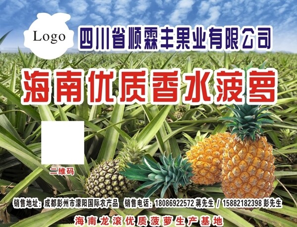 菠蘿