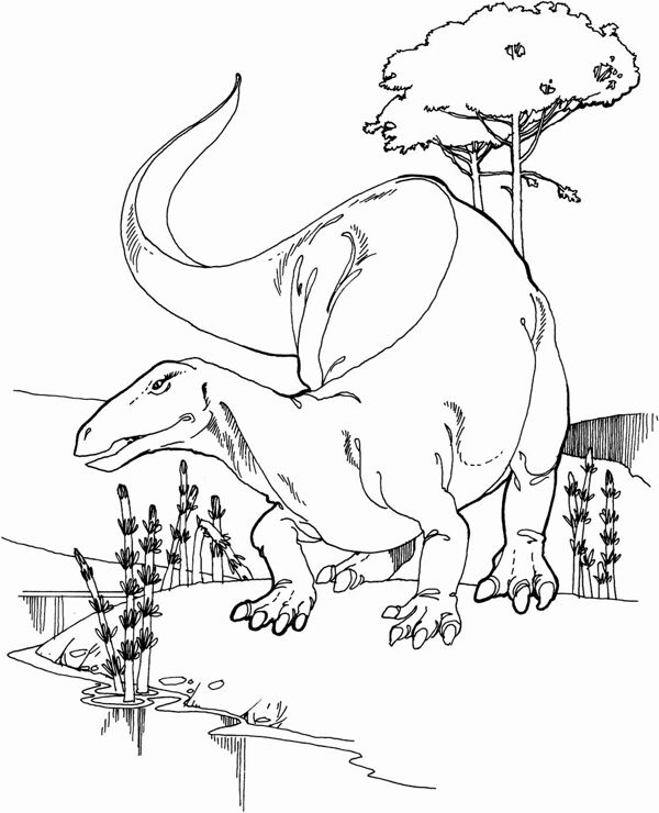 遠(yuǎn)古時代的動物恐龍手繪畫動物素描