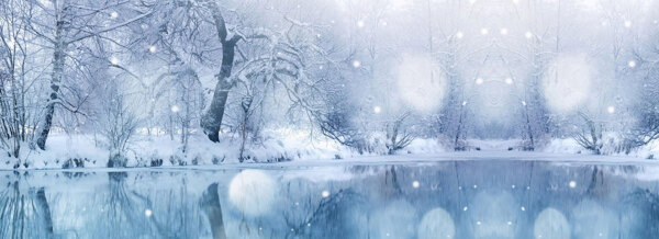 樹林唯美雪景背景banner
