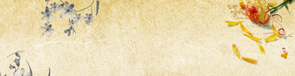淘寶背景banner