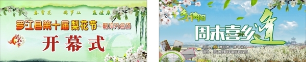 梨花節(jié)圖片