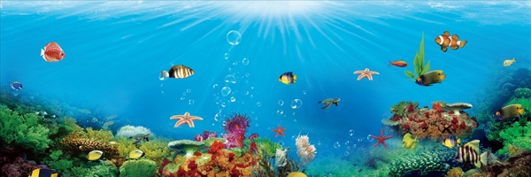 海底世界