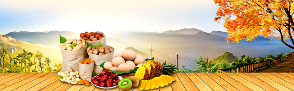 金秋食品banner背景