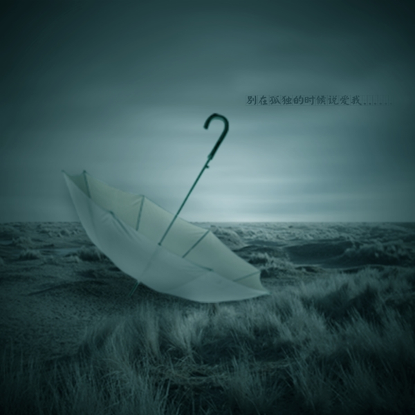 草原雨傘合成效果圖
