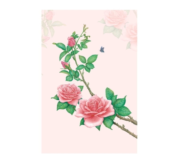 玫瑰花
