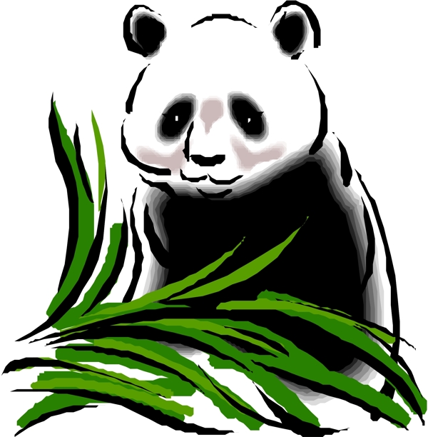 熊貓