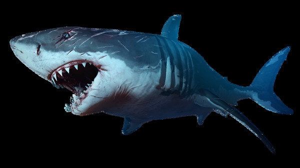 蓝色鲨鱼免抠png透明图层素材