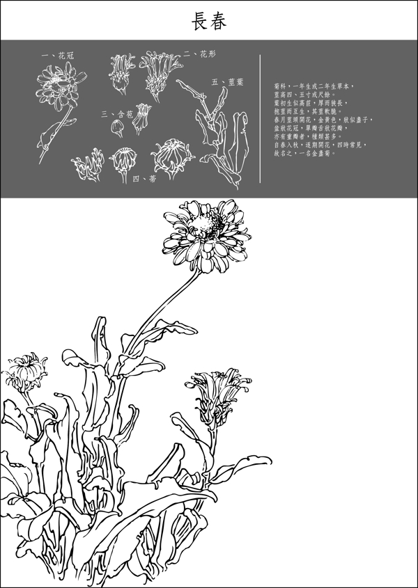 矢量白描長春