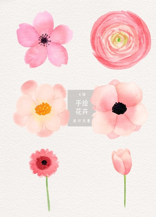 粉色唯美水彩花卉
