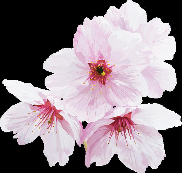小清新白色花朵元素