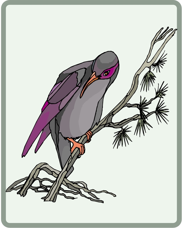 各種鳥類鳥動物矢量素材EPS格式0469