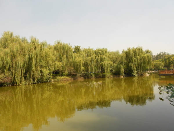 自然風景