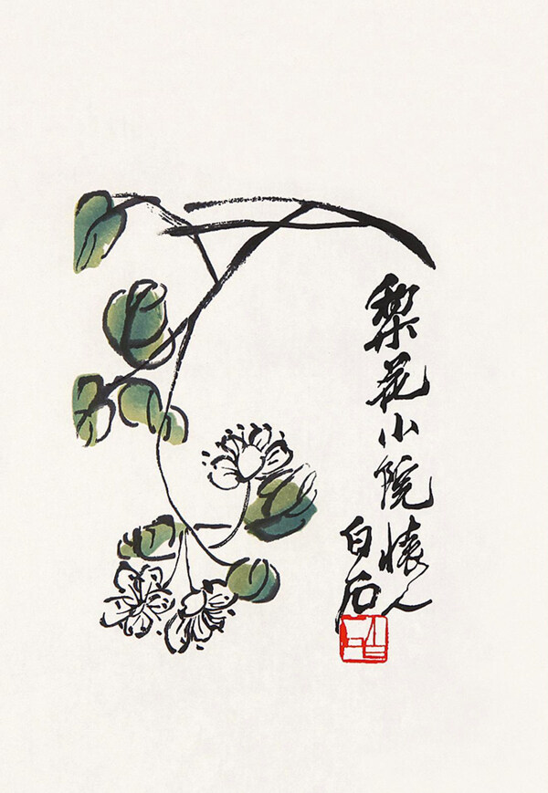 梨花小院圖片