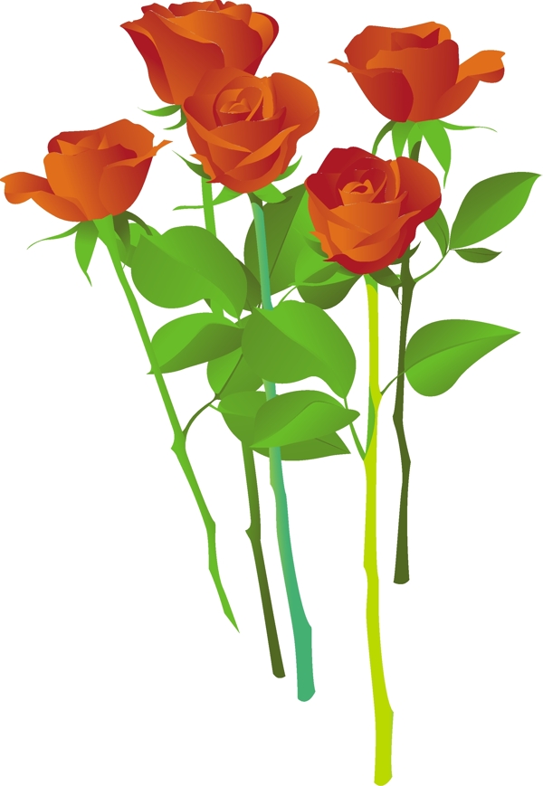 玫瑰花矢量5