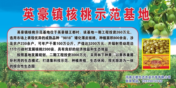 核桃示范基地圖片