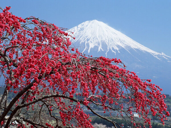 富士山風(fēng)光