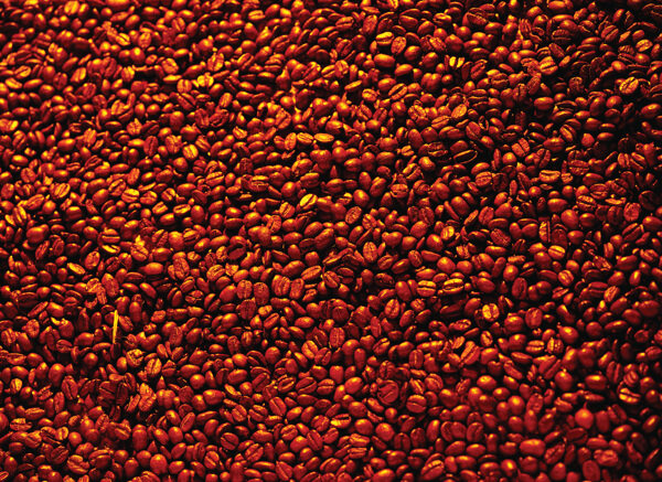 一堆咖啡豆特写素材图片