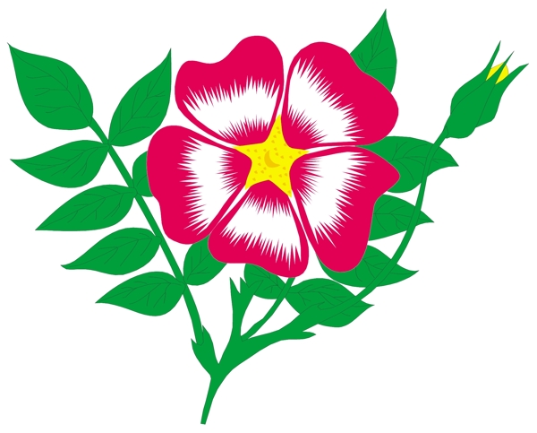 花朵花草鮮花矢量EPS格式0173