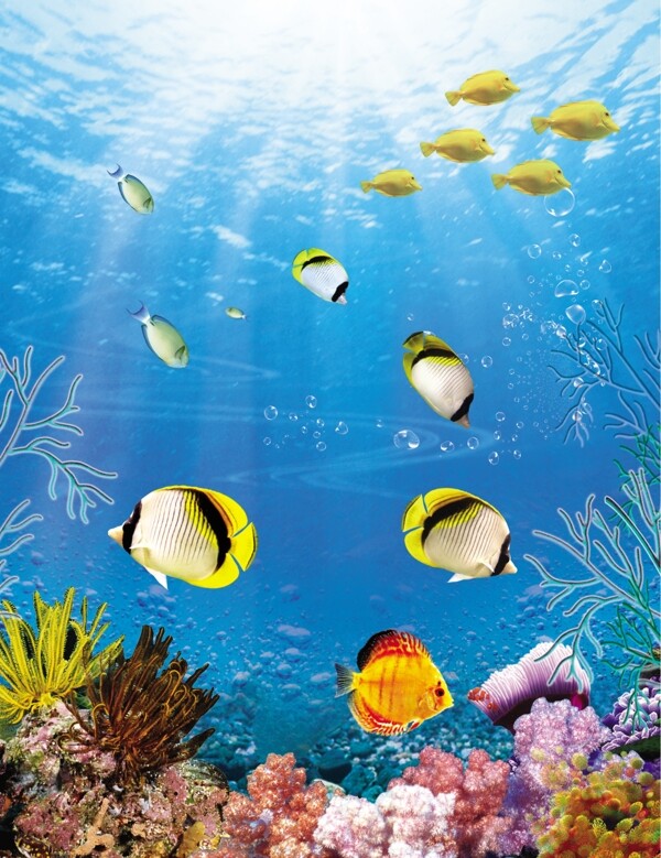 海底热带鱼