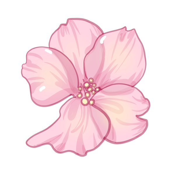 一朵盛开的樱花插画